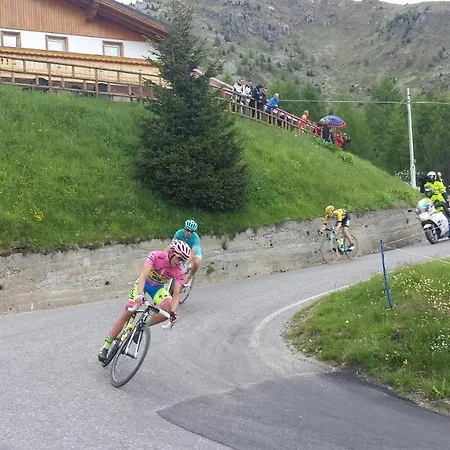 Belvedere Mountain Experience