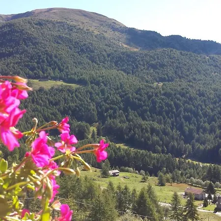 Belvedere Mountain Experience فندق