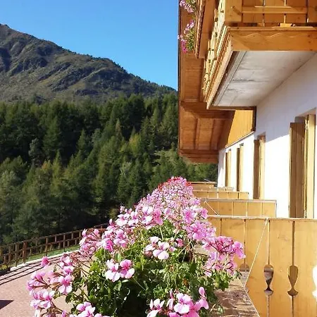 فندق Belvedere Mountain Experience Monno